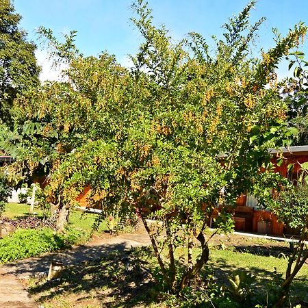 El Bosque Trails&Eco-Lodge Monteverde Exterior foto