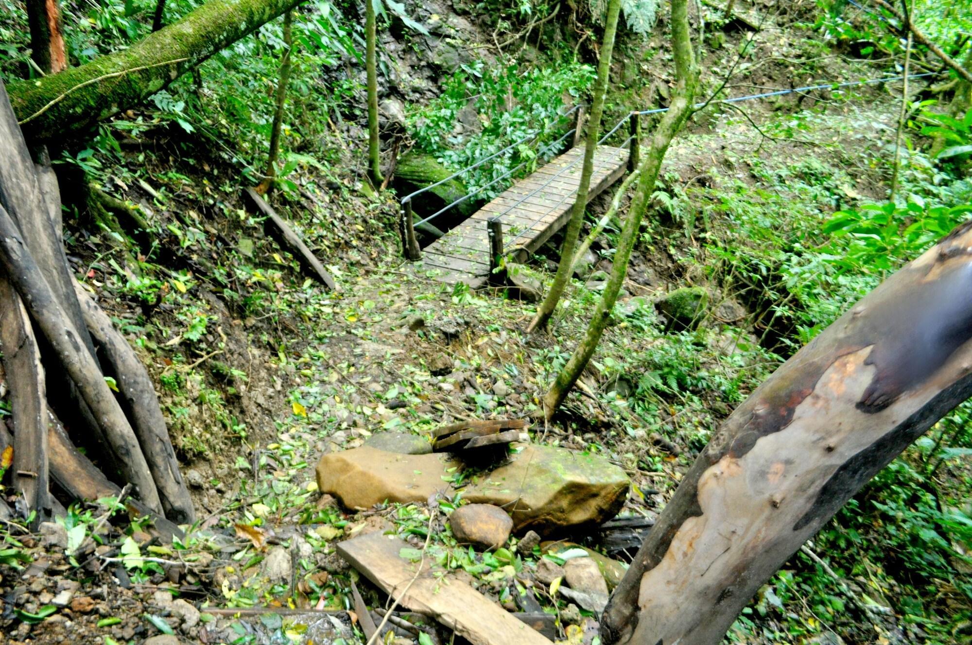 El Bosque Trails&Eco-Lodge Monteverde Exterior foto