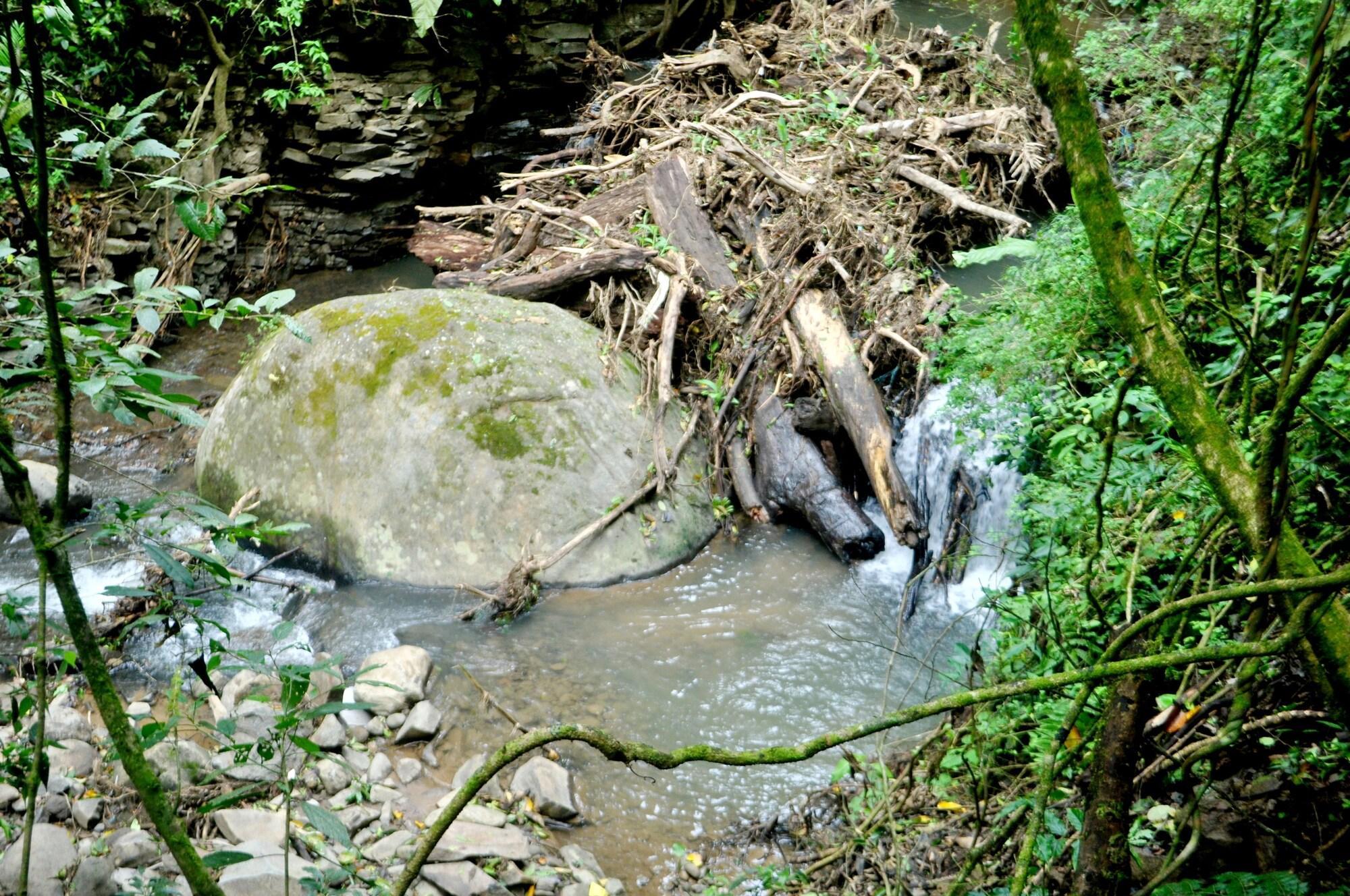 El Bosque Trails&Eco-Lodge Monteverde Exterior foto