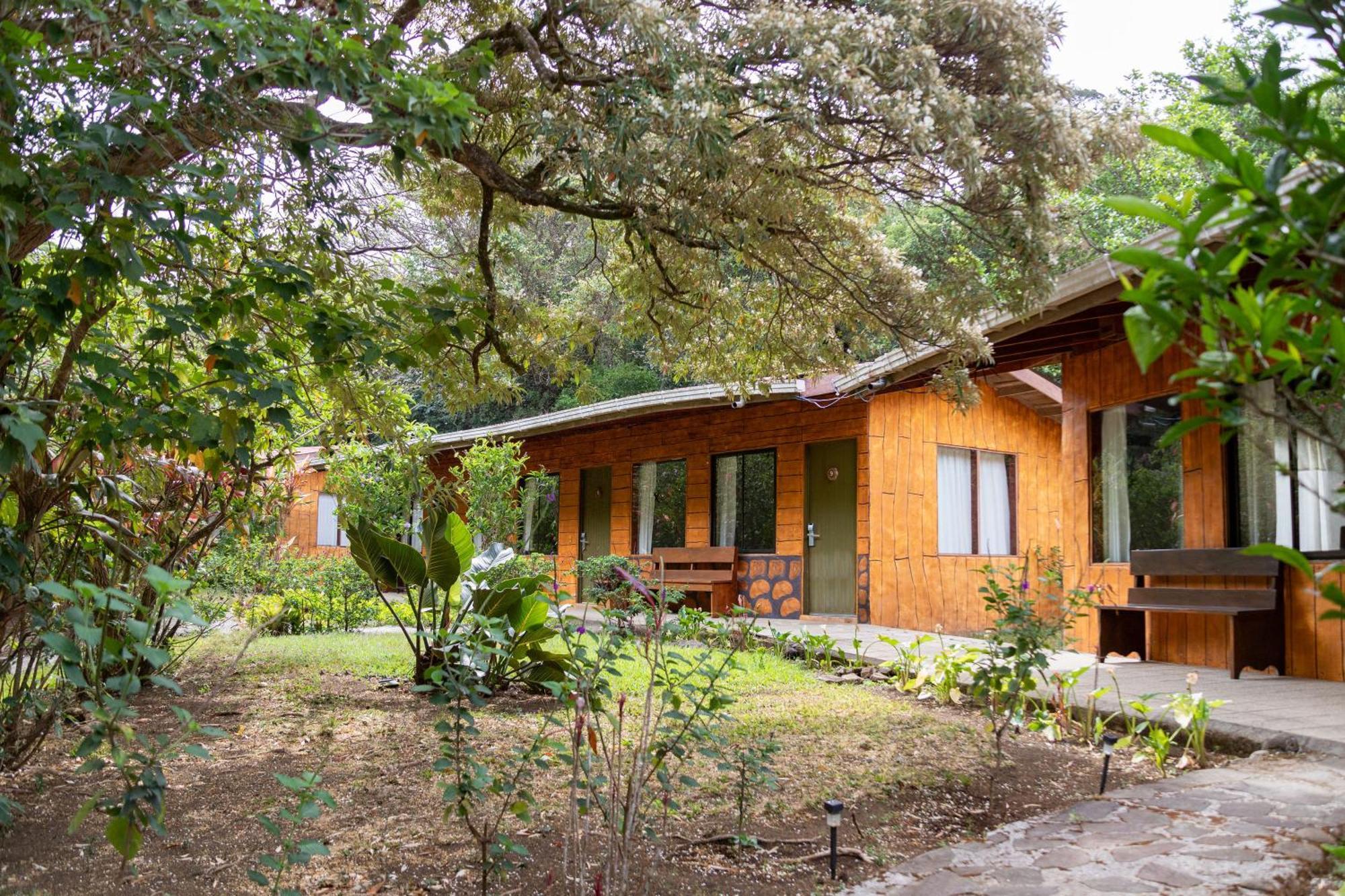 El Bosque Trails&Eco-Lodge Monteverde Exterior foto